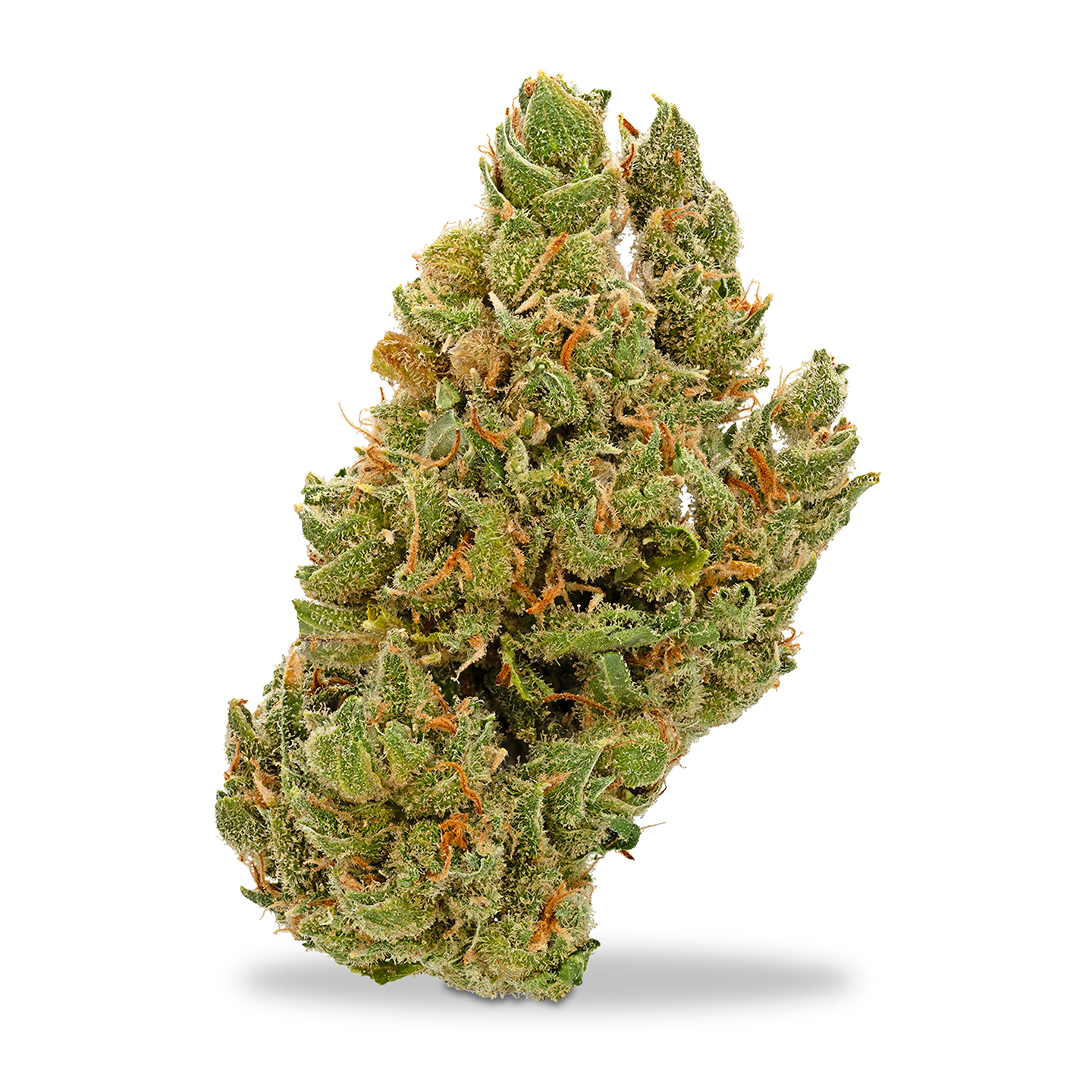 Photograph of product: Urban Canna - Jack Herer - 1g