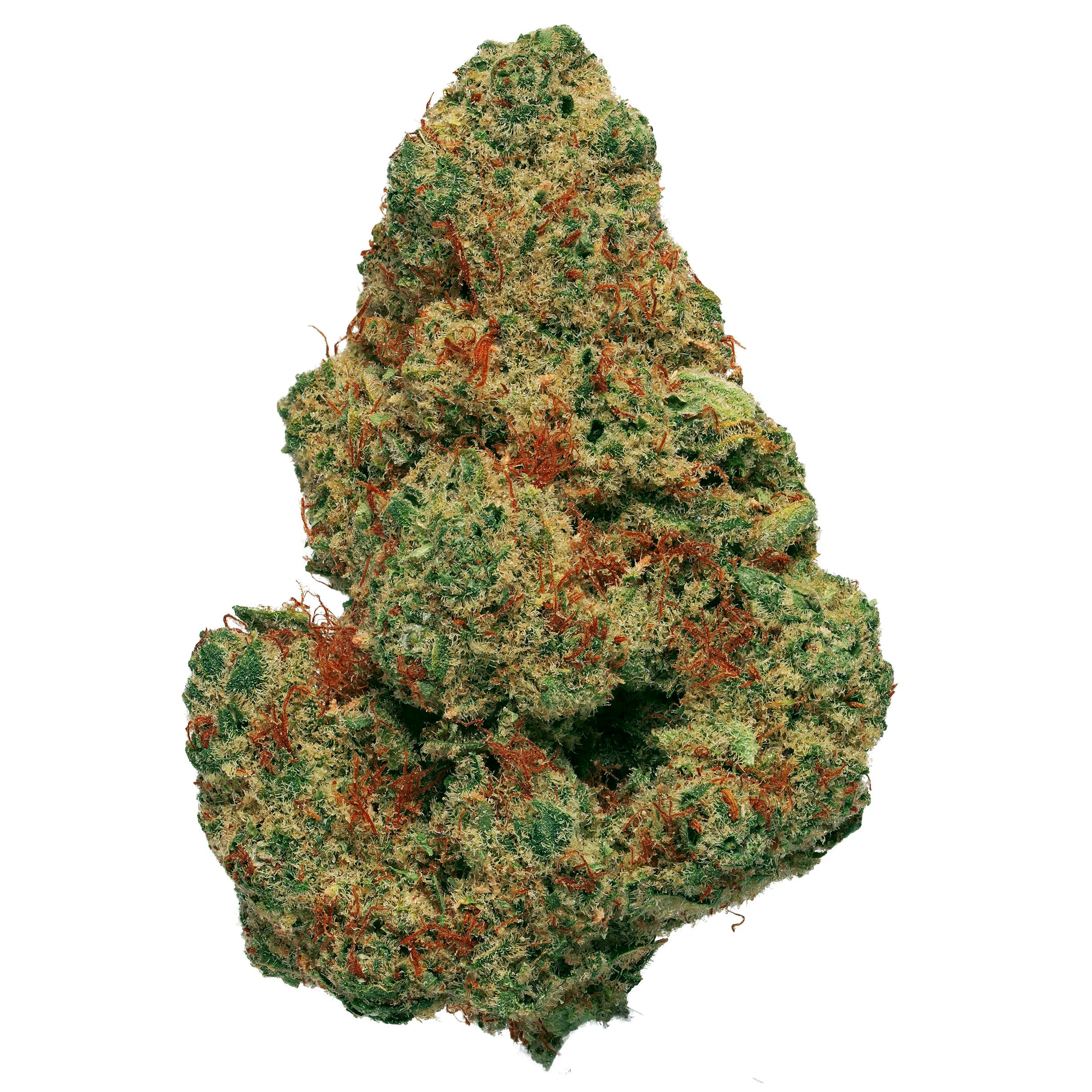 Photograph of product: Deli Flower Gold - (SPF) Space Force