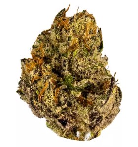Photograph of product: GLP | Kashmir Cuties #2 3.5g