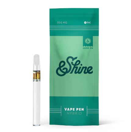 Photograph of product: Disposable Vape - Apple Fritter - Shine - REC