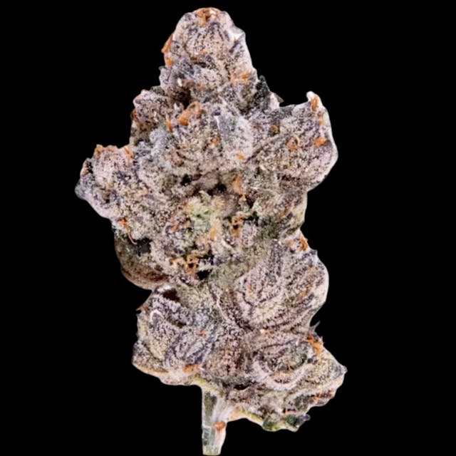 Photograph of product: Sweet Purple Haze 14g - 