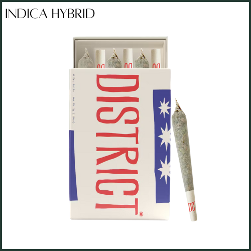 Photograph of product: District Oui'd | Gorilla Glue #4 | Pre-Roll | 6-pack