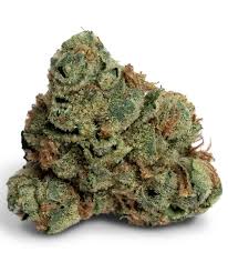 Photograph of product: Belushi's Farm Garlic Mintz Flower | 7g