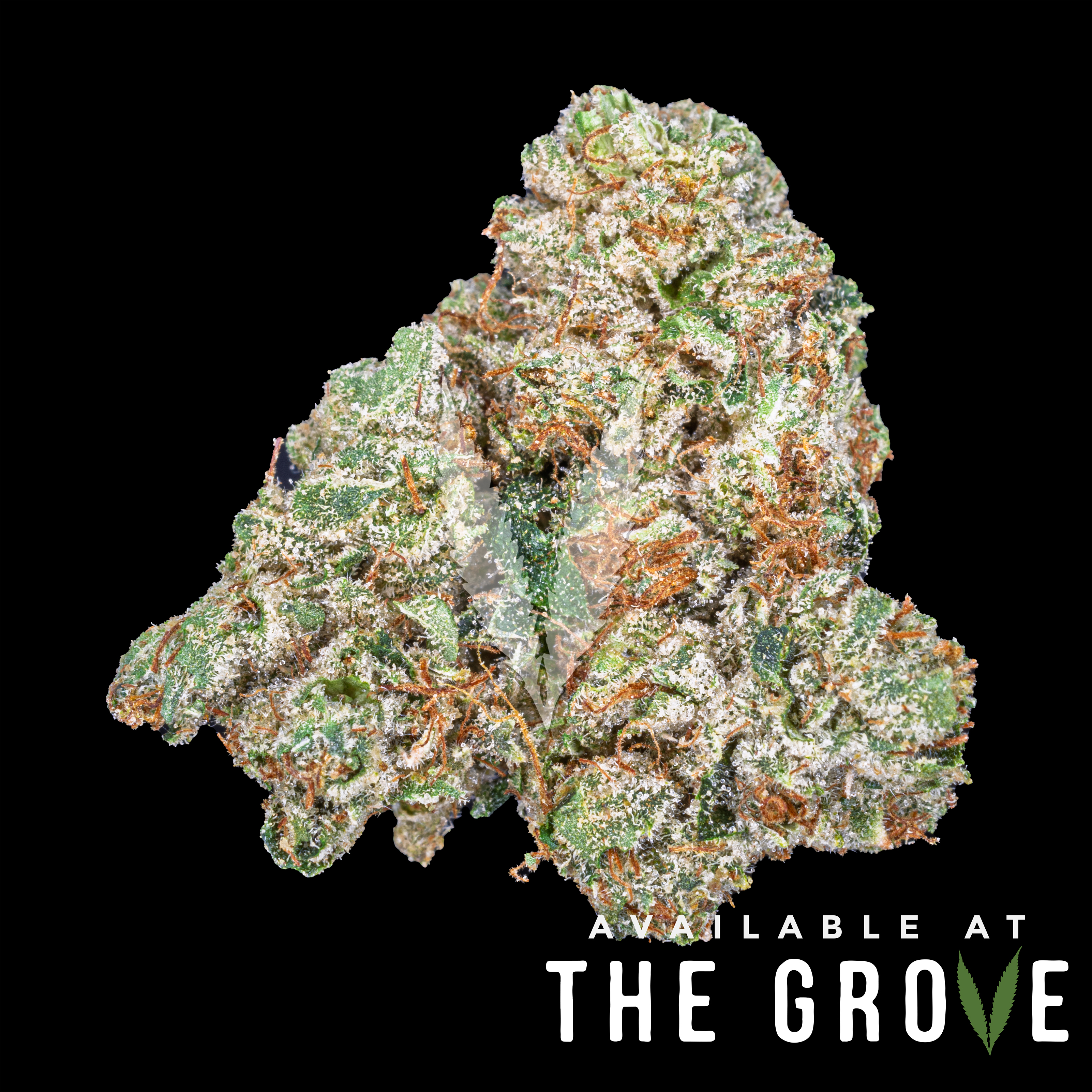 Photograph of product: The Cure Company | Marathon OG 1/8th - 3.5g