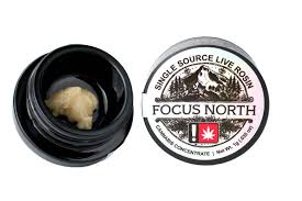 Photograph of product: Focus North - WHITE TAHOE COOKIES - Live au chocolat Rosin - (1g) - H