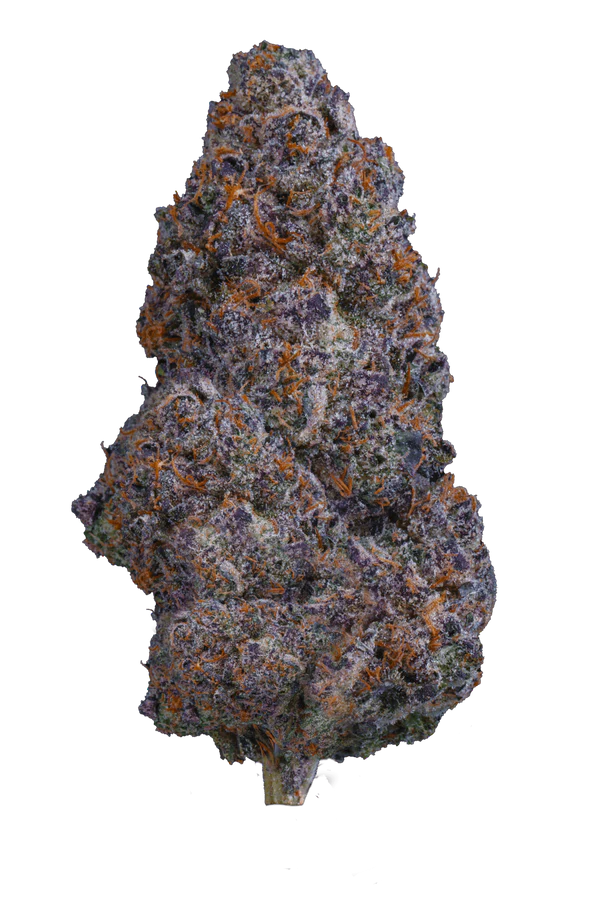 Photograph of product: Stiiizy Flower GG#4 3.5g