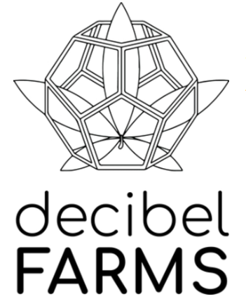 Photograph of product: DECIBEL | Oui'd Blend Trebles Infused Preroll Pack
