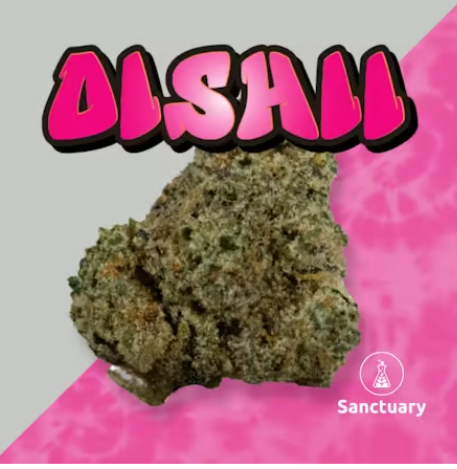 Photograph of product: Oishii mini bombs flower | 28G | Sanctuary Medicinals