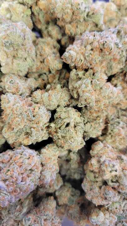 Photograph of product: King Bling (PDX Organix)