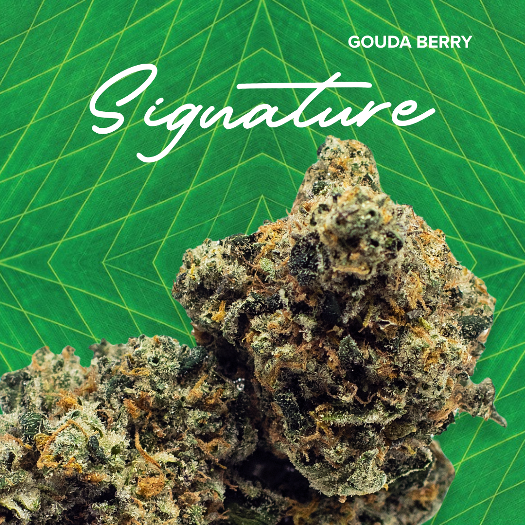Photograph of product: Signature 3.5g Gouda Bry