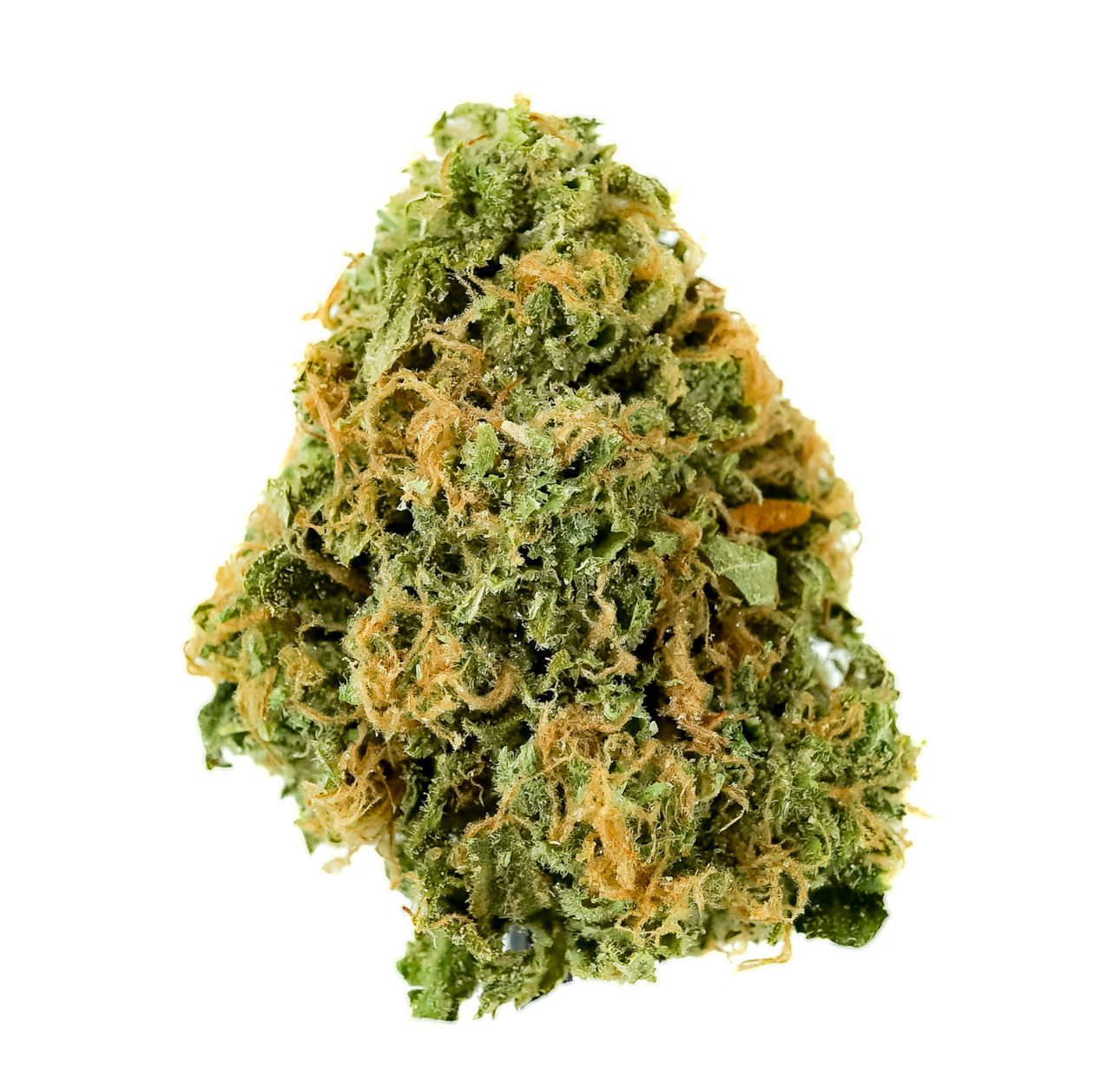 Photograph of product: Pruf Cultivar Key Lime Guava #10 - 14g