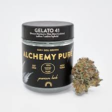 Photograph of product: Alchemy Pure | Gelato 41 | 3.5G Flower Jar