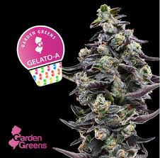 Photograph of product: Pete's Farmstand Gelato A Pre Roll