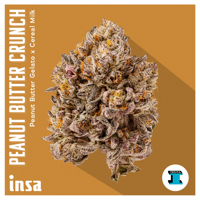 Photograph of product: Flower - Peanut Butter Crunch - 3.5g