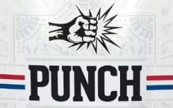 Photograph of product: S'mores Milk Chocolate | PunchBar 100mg