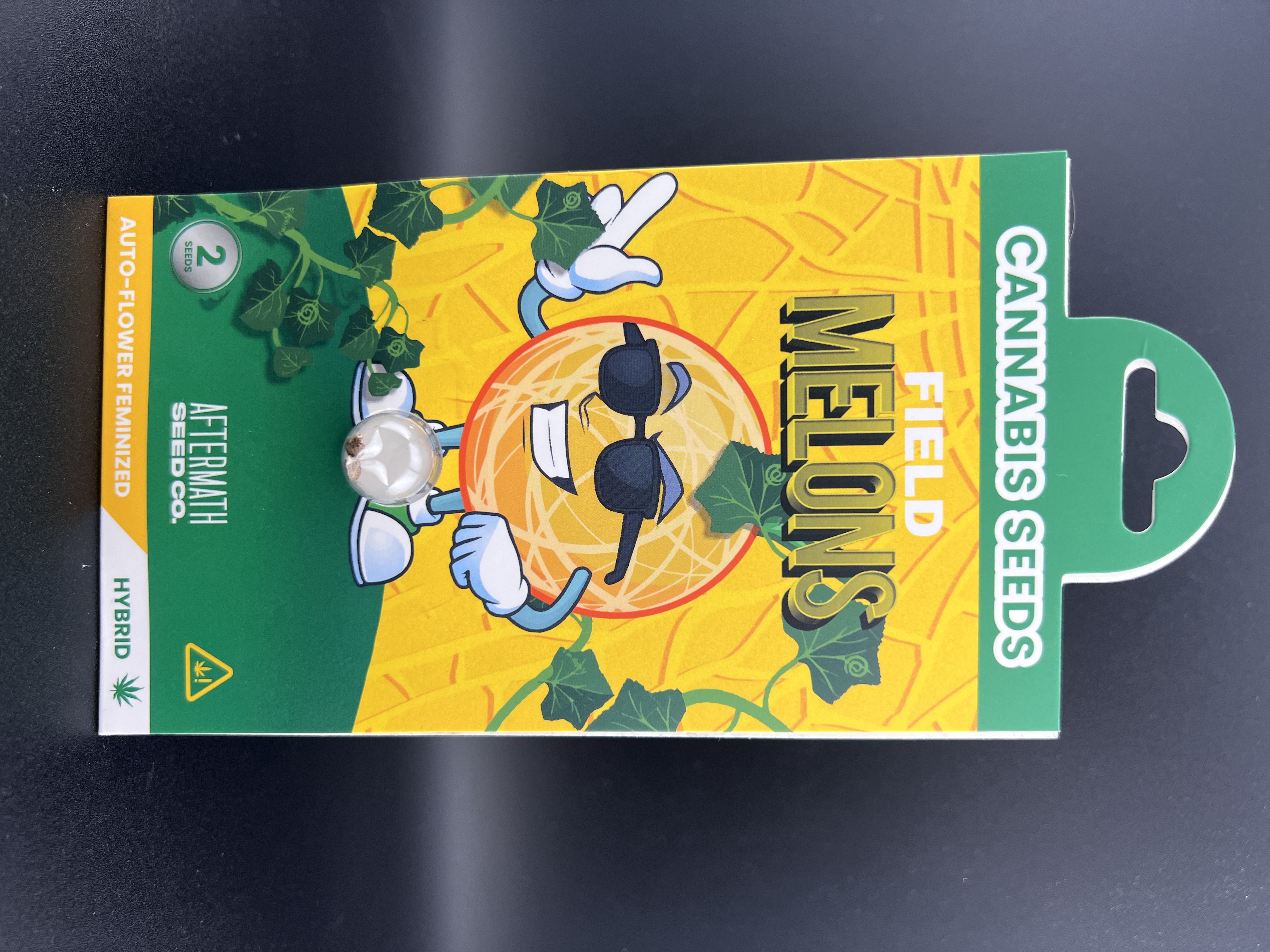 Photograph of product: Aftermath Seed Co. - Field Melon - Oui'd Seeds - 2pk