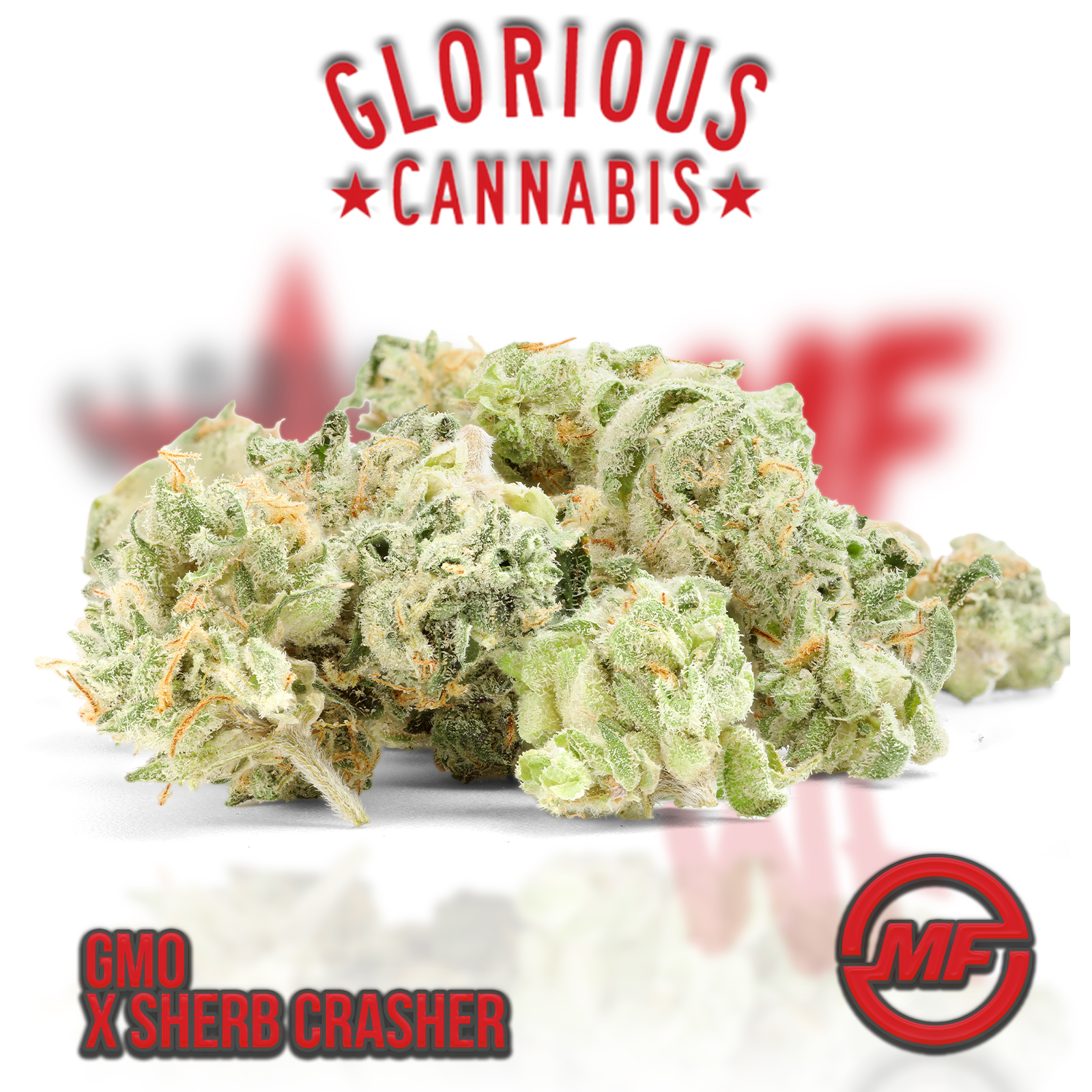 Photograph of product: Glorious | GMO x Sherb Crasher | Smalls - 1g