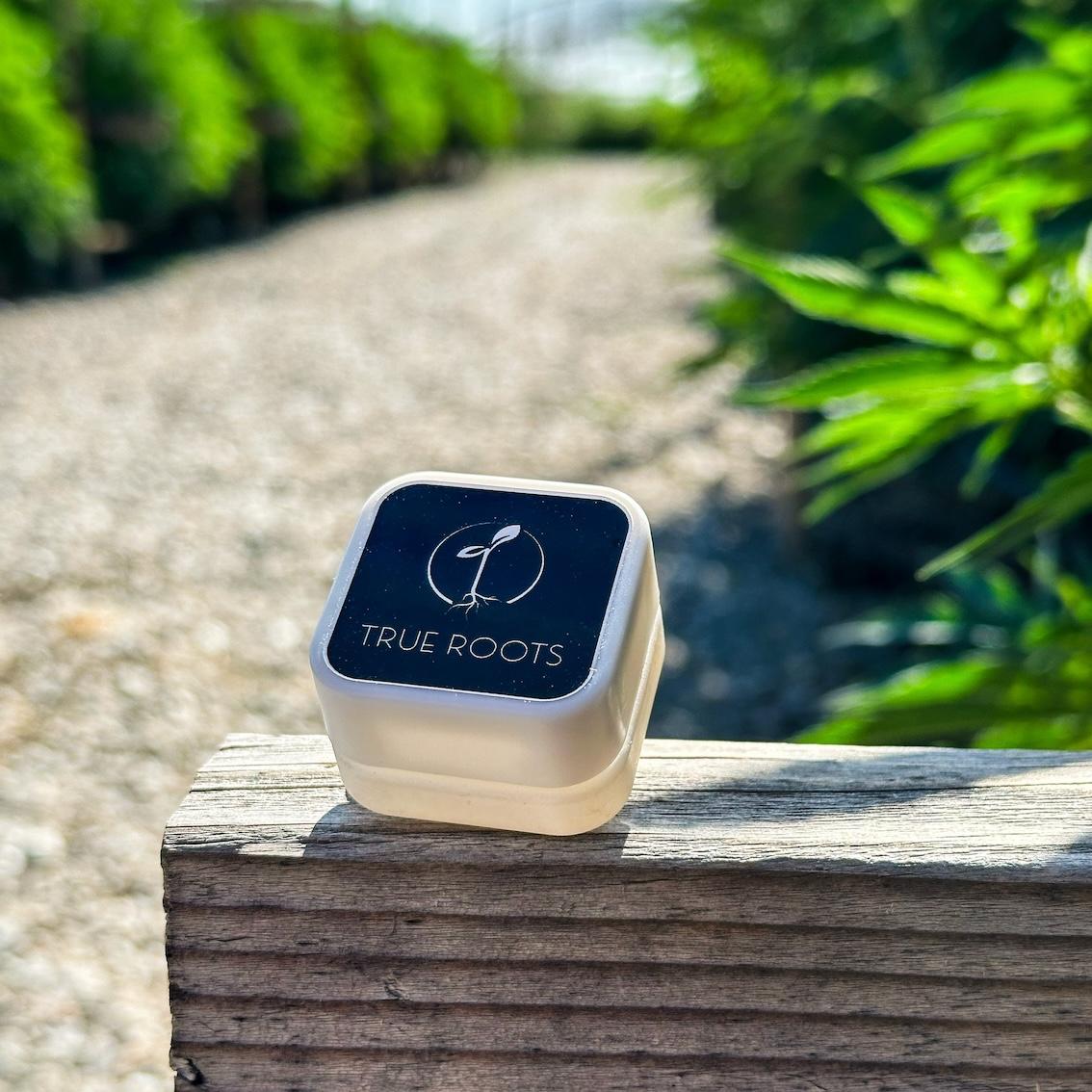 Photograph of product: Canvas Concentrates - Wedding Cake Live Resin