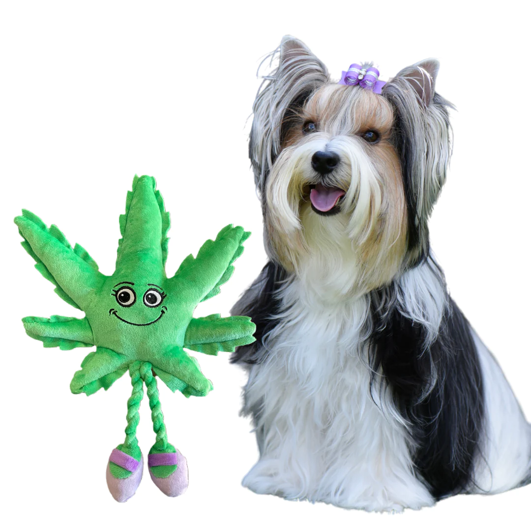 Photograph of product: PAW:20 | Dog Toy | Mary Jane the Oui'd Leaf