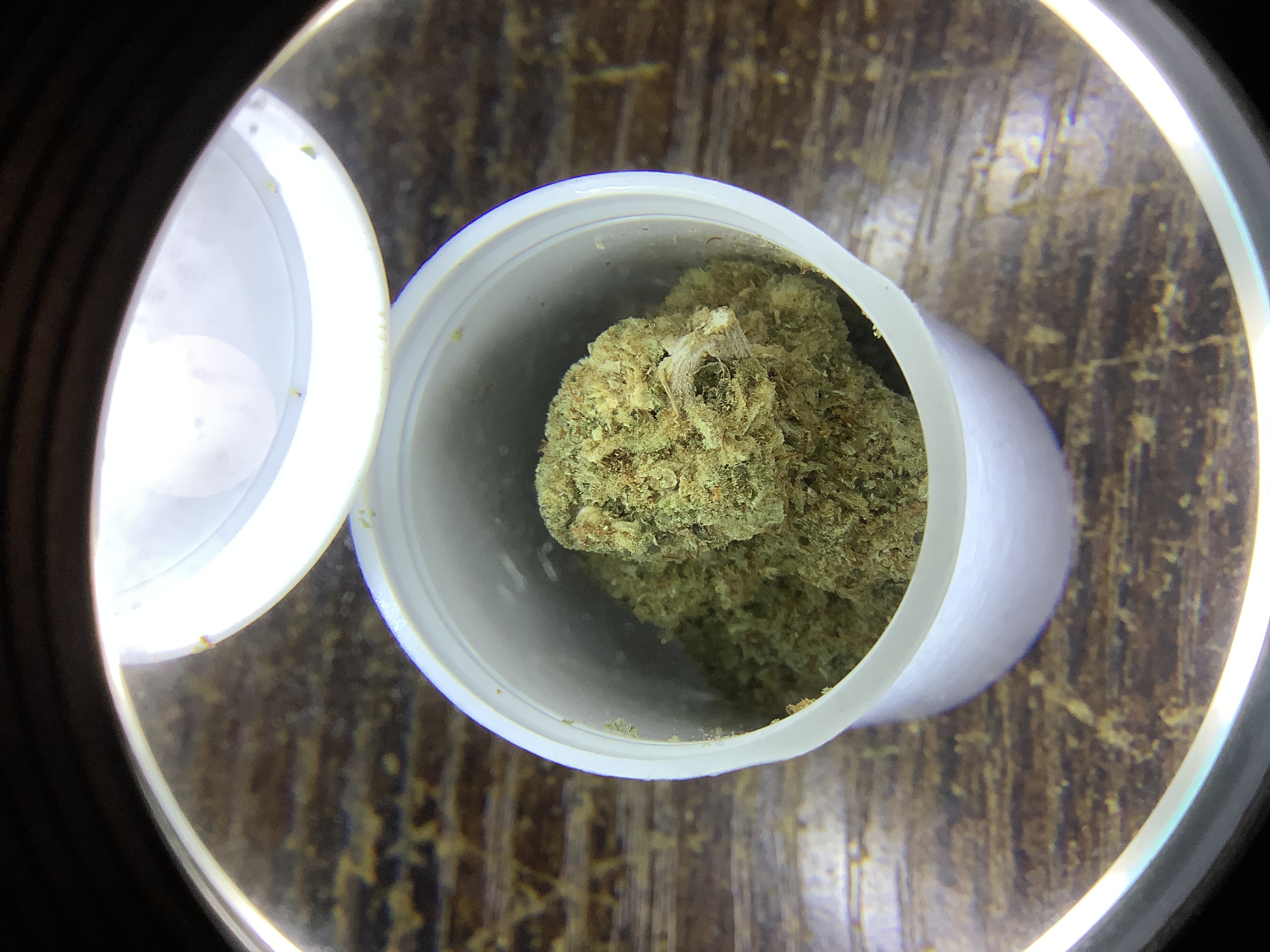 Photograph of product: Oregon Roots | SUPER NOVA - 7g