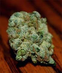 Photograph of product: Good Giggles | Rolls Choice OG (S-D) - 28g