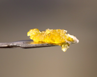 Photograph of product: Meraki Extracts - Live Sugar - Grapefruit Yuzu (H)