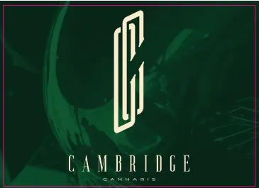 Photograph of product: GARLIC CHILLS