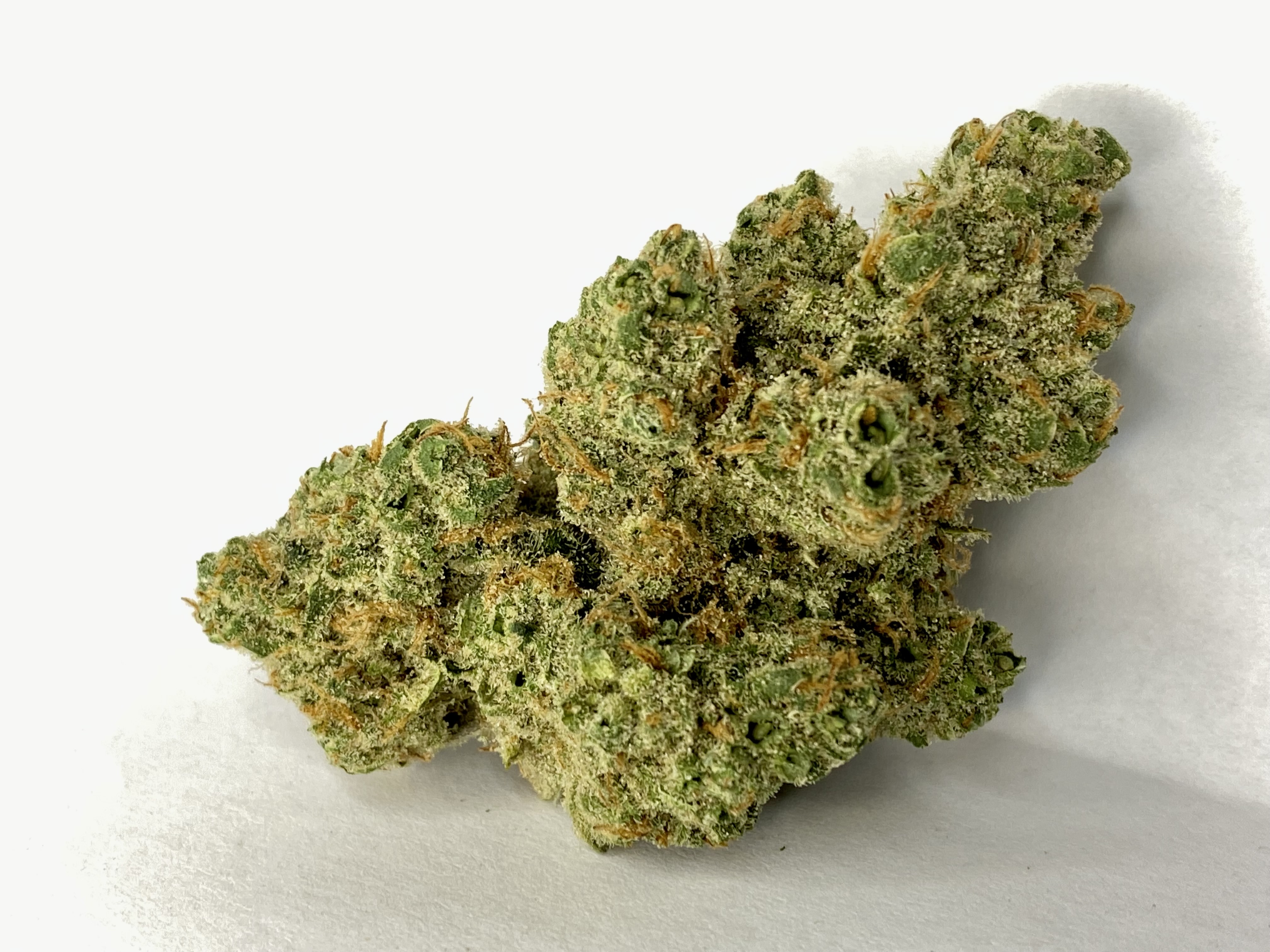 Photograph of Product: BozemanBlues-Flower-|Hybrid|HRBD - 3.5g