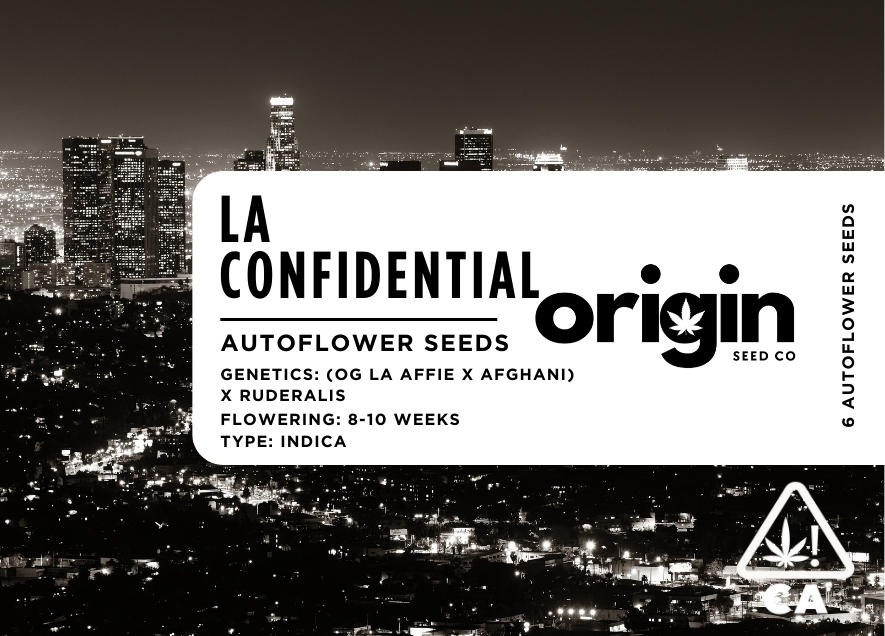 Photograph of product: Autoflower 6pk - LA Confidential