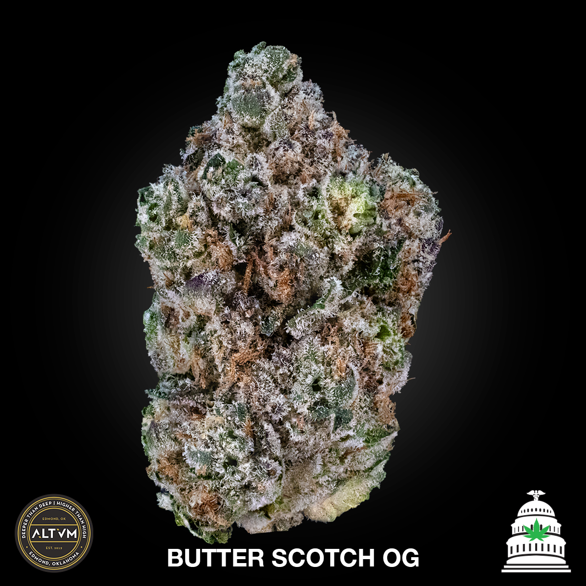 Photograph of product: Butter Scotch OG - Altvm Flower - 28g