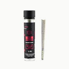 Photograph of product: Dank |  King Louis OG (I) | Infused Pre-Roll | 1.1g