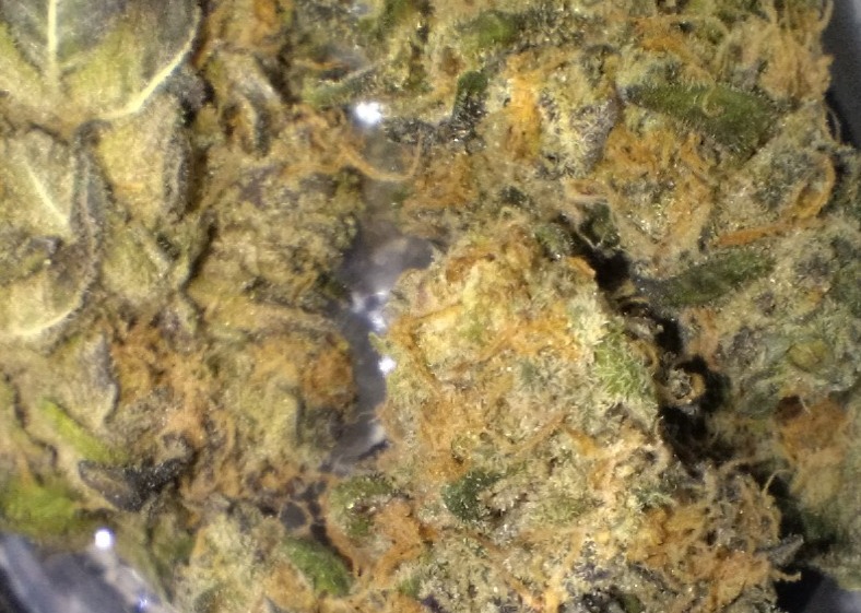 Photograph of product: Revolution Mochi Runtz #2 3.5g Hybrid Flower