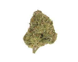 Photograph of product: OZ - Purple Paint - (Hybrid) - 22.07%TH-oui (+/-10%) - Baked Turtle - 9279 - 28g