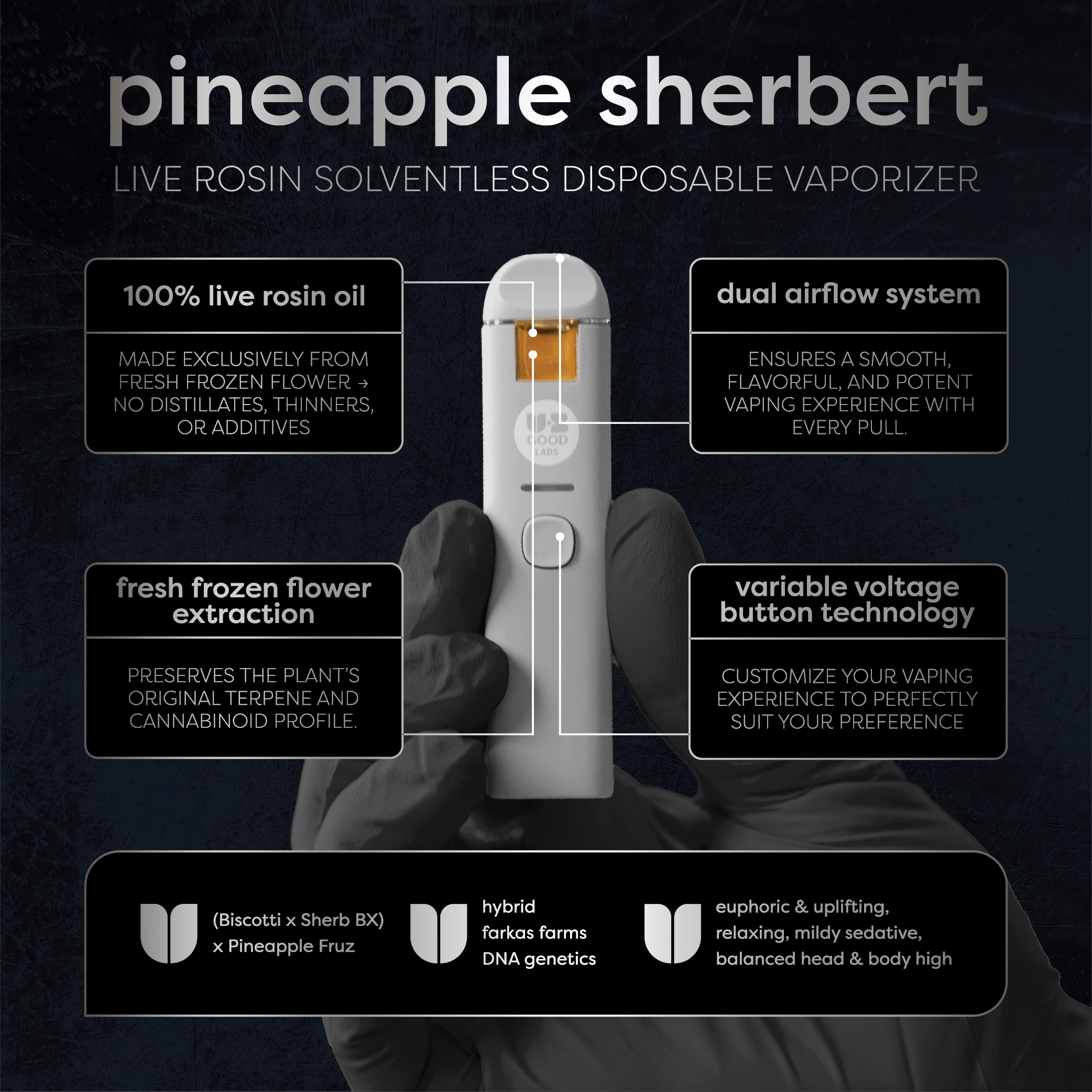 Photograph of product: Pineapple Sherb Live Rosin Solventless Disposable | .5g - 