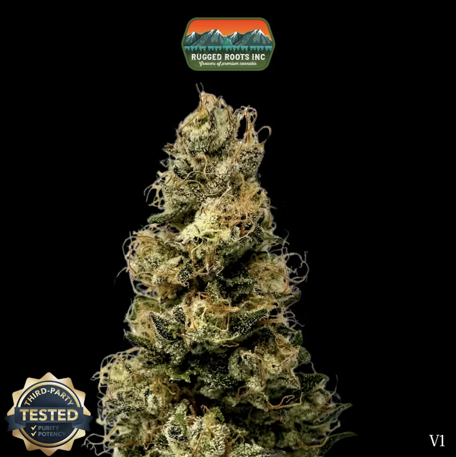 Photograph of product: 1g Dime Bag | Don Mega