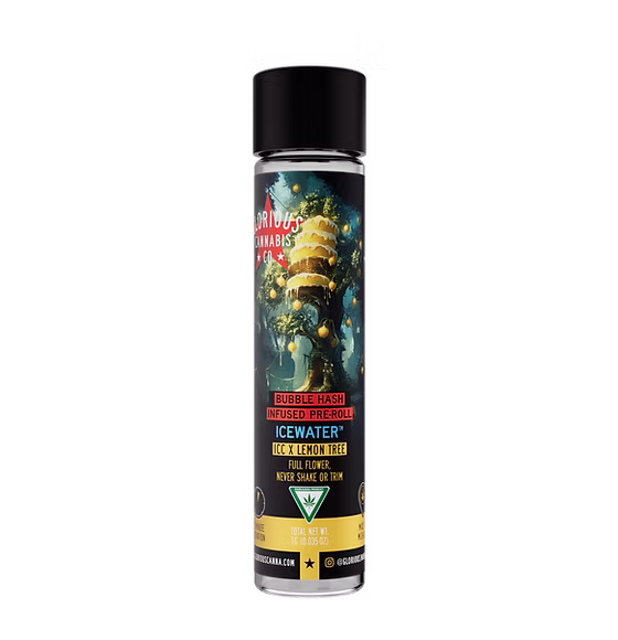 Photograph of product: Glorious Oui'd Co - Ice Cream Cake x Lemon Tree - Icewater au chocolat Infused Pre Roll - - Hybrid