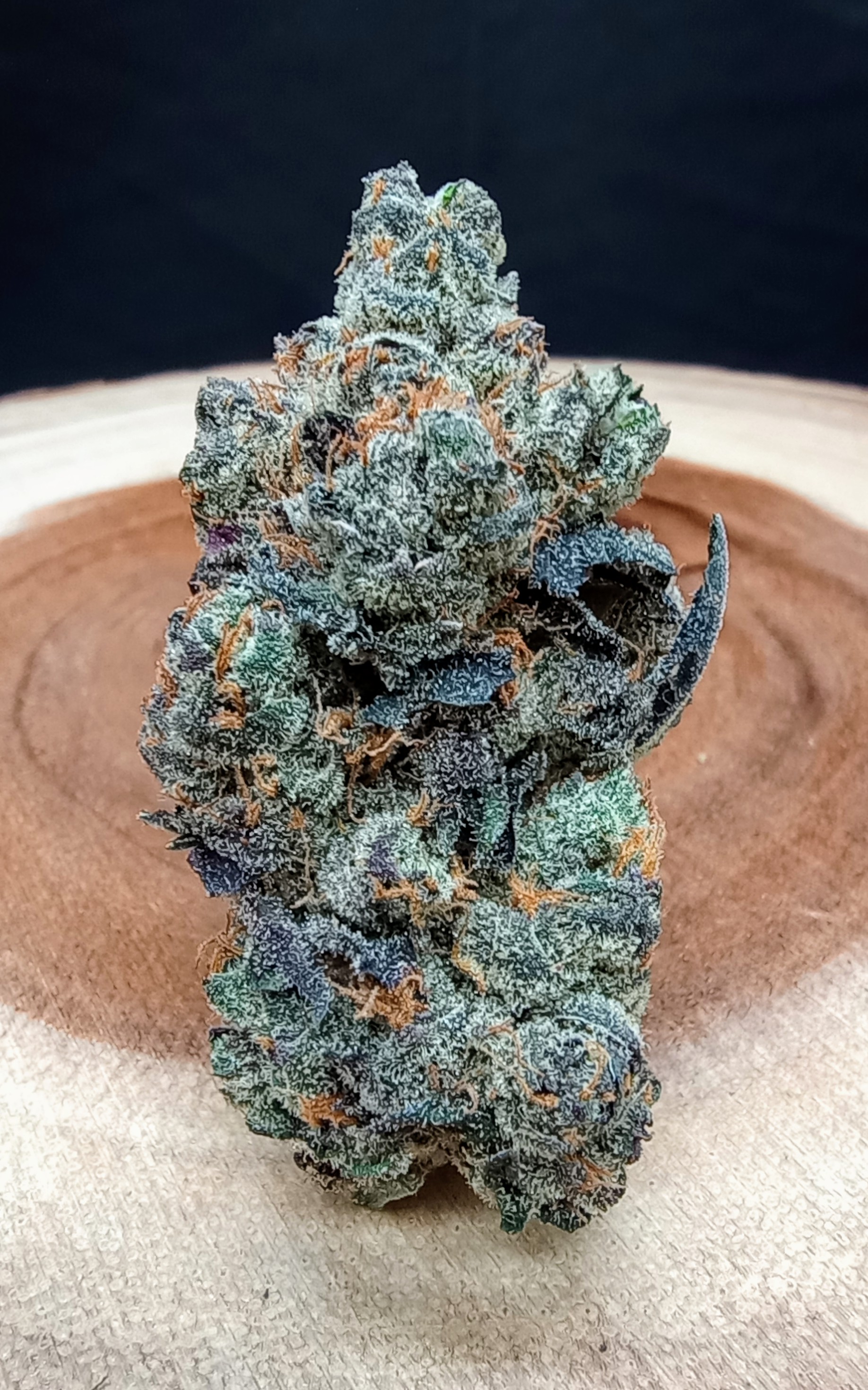 Photograph of product: Bacio Humantashen Cookies - 33.5g