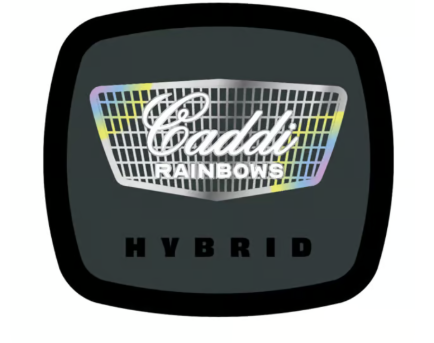 Photograph of product: 93 BOYZ Caddi Rainbows 7g