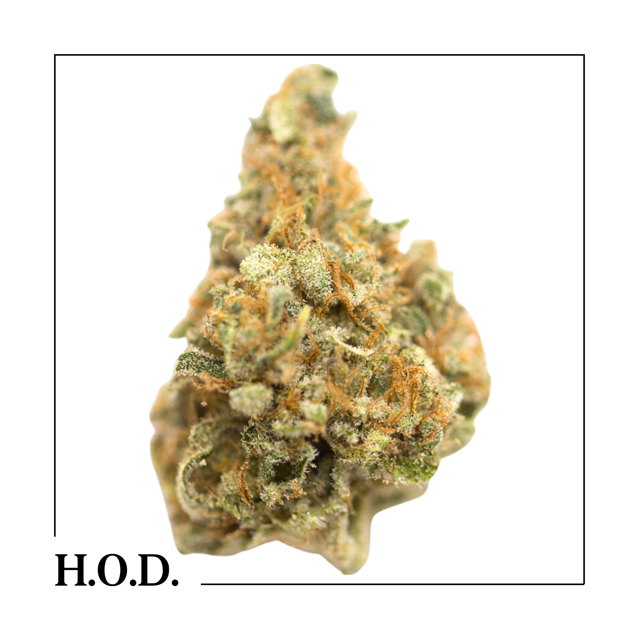 Photograph of product: MAC 1 3.5g