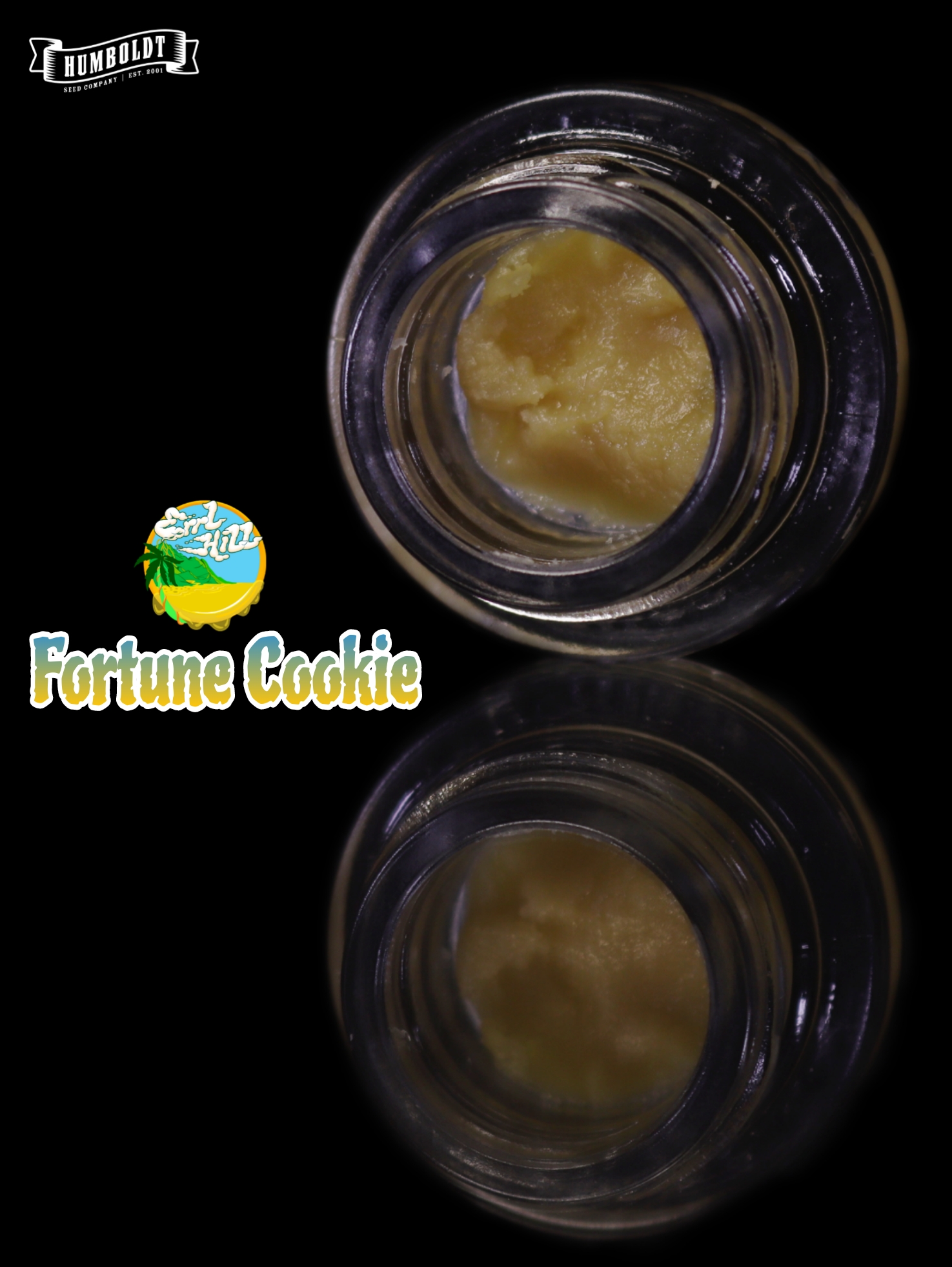 Photograph of product: Errl Hill | Cold Cure Live Rosin | Garlic Cookies