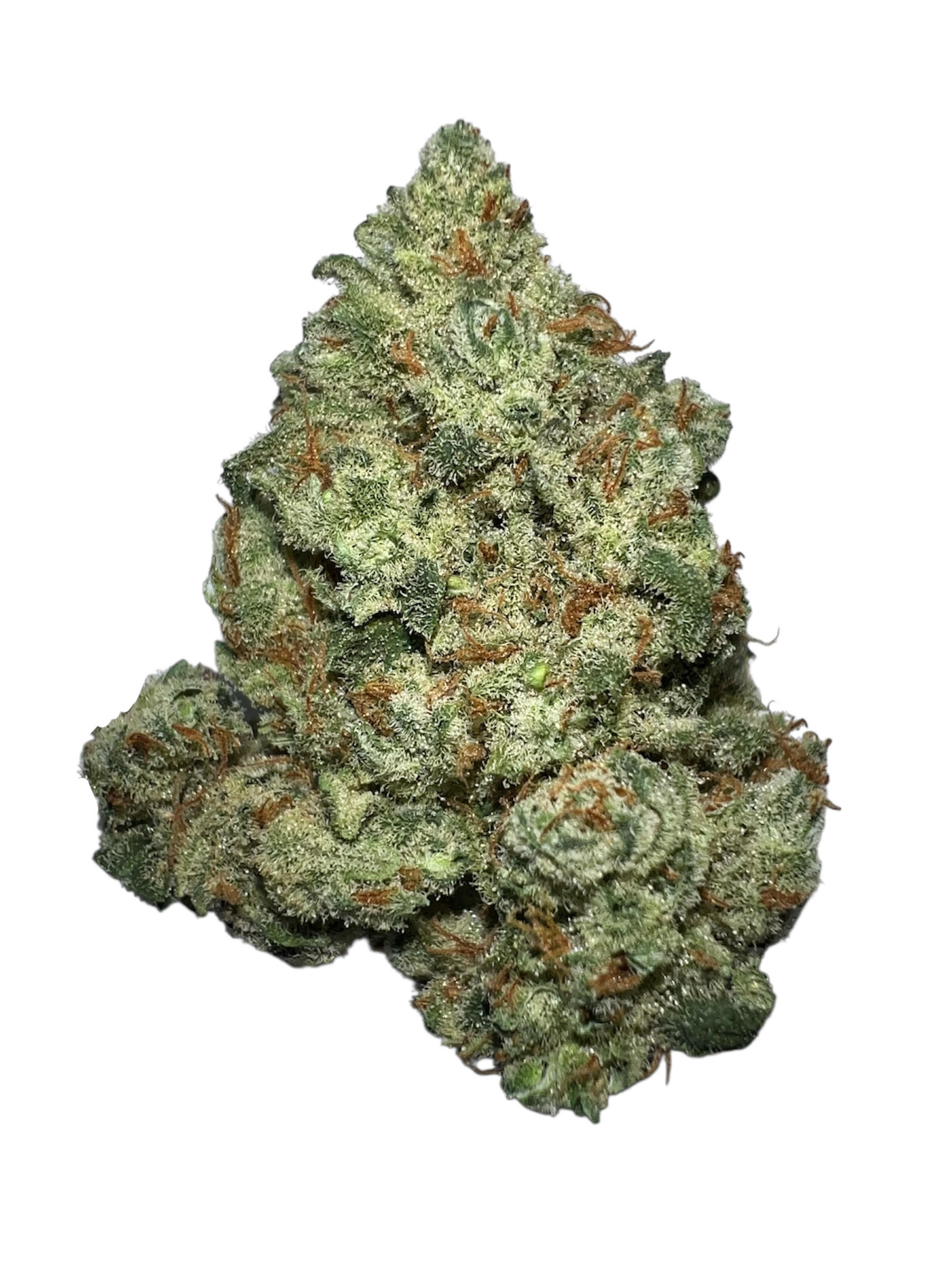 Photograph of product: BEST BUDZ- Silverback Haze | - 28g