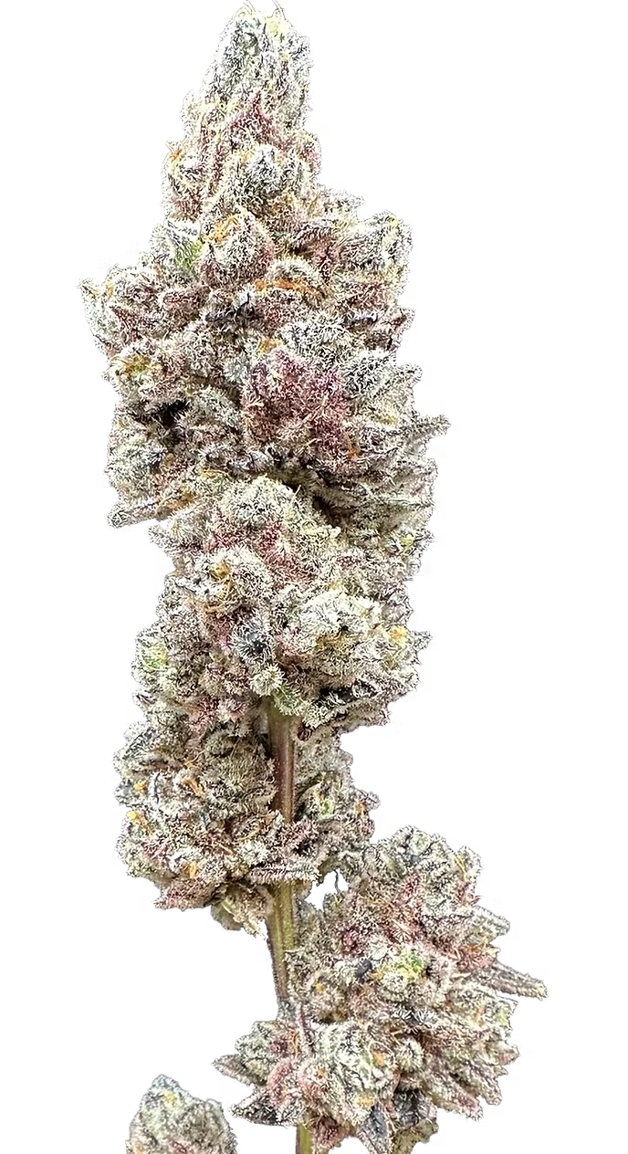 Photograph of product: Dry Ice 3.5g Flower Trifecta Farms