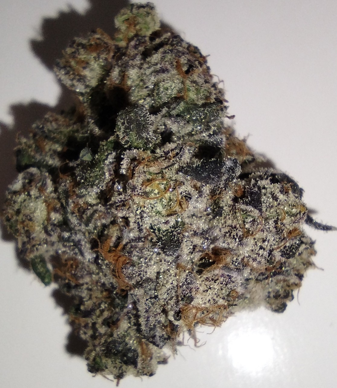 Photograph of product: Dakota Natural Growers - Oreo Blizzard - 7g - Flower