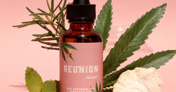 Photograph of product: Reunion | Reboot: CBD + Lion's Mane adaptogenic tincture | 15 ml