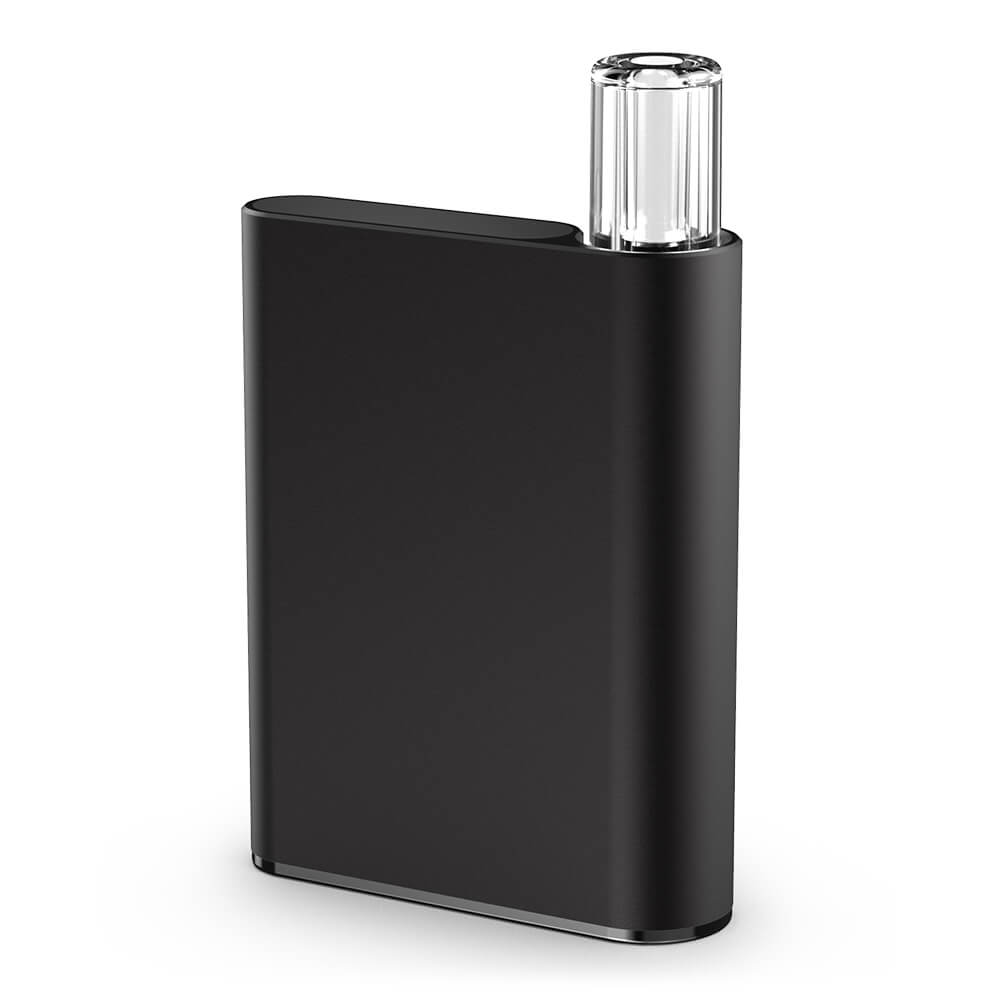Photograph of product: C-Cell Palm Battery (Black)