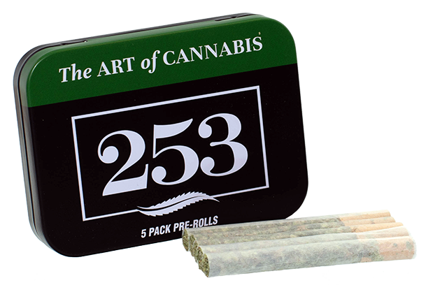 Photograph of product: Butterscotch Daydream (H) | Pre Rolls | 0.5g 5pk