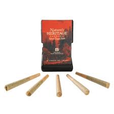 Photograph of product: Governmint Oasis 0.5g Bubble au chocolat Infused Pre-Roll | 5pk - Nature's Heritage