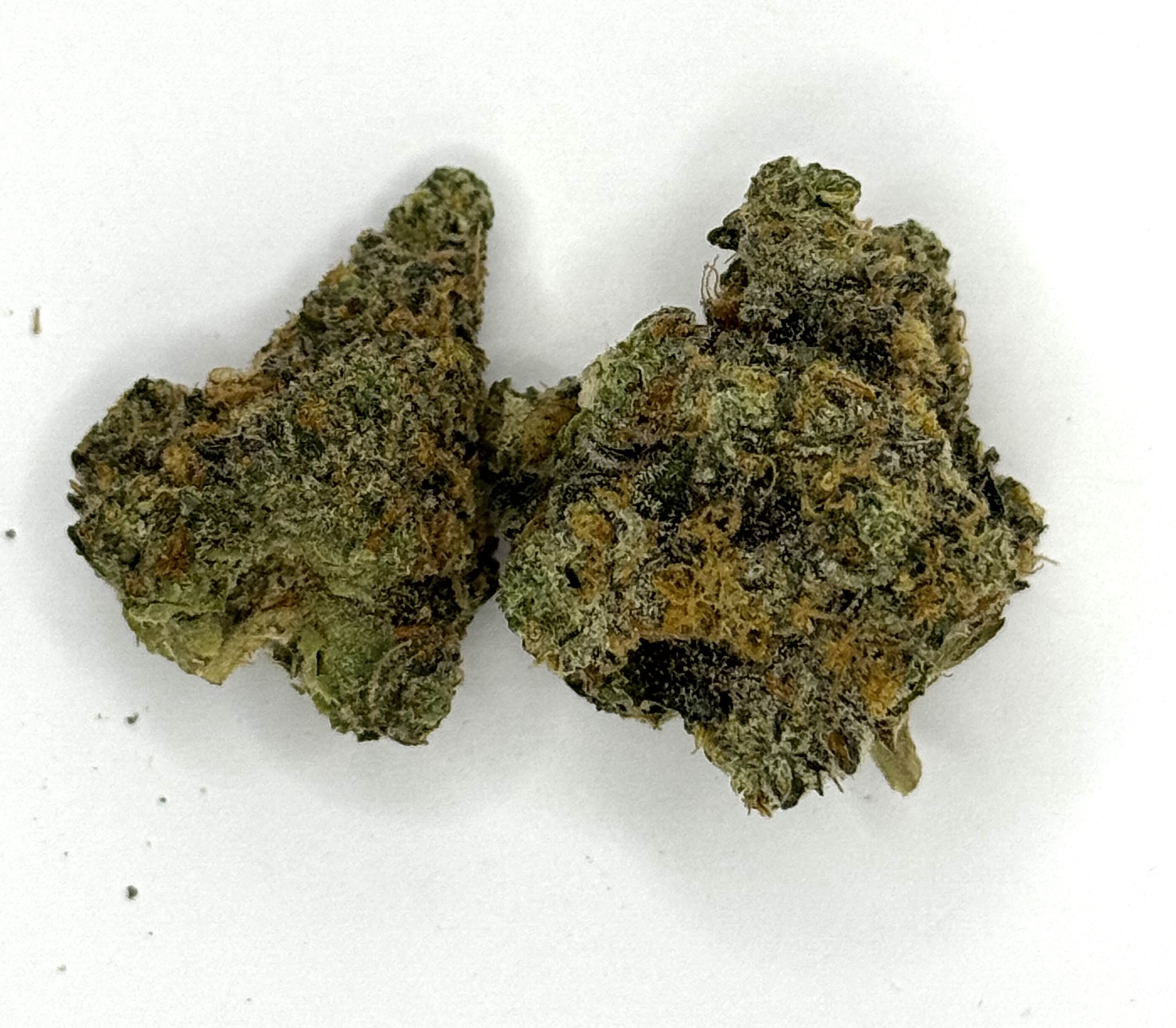 Photograph of product: Hytek | Los Muertos - 28g