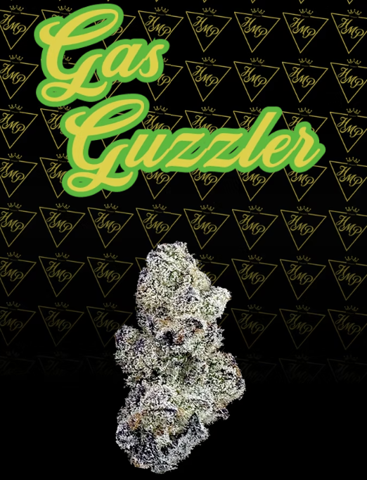 Photograph of product: Flower | Gas Guzzler - 3.5g