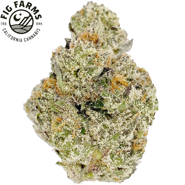 Photograph of product: LEMON CHERRY GELATO (3.5G)
